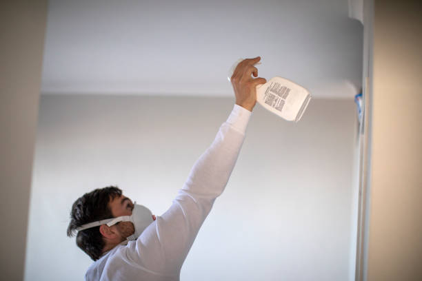 Best Mold Remediation  in Virginia, MN