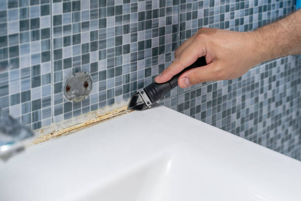 Best Office Mold Removal Services  in Virginia, MN
